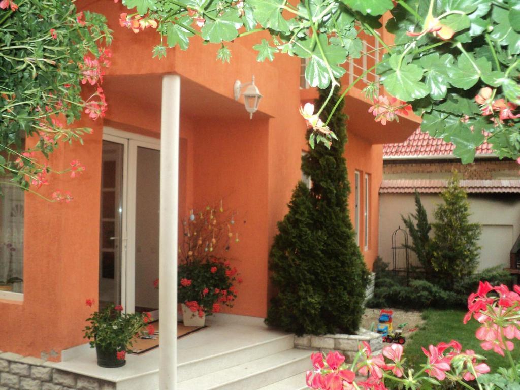 Pensiunea Irina Tilişca Exterior foto