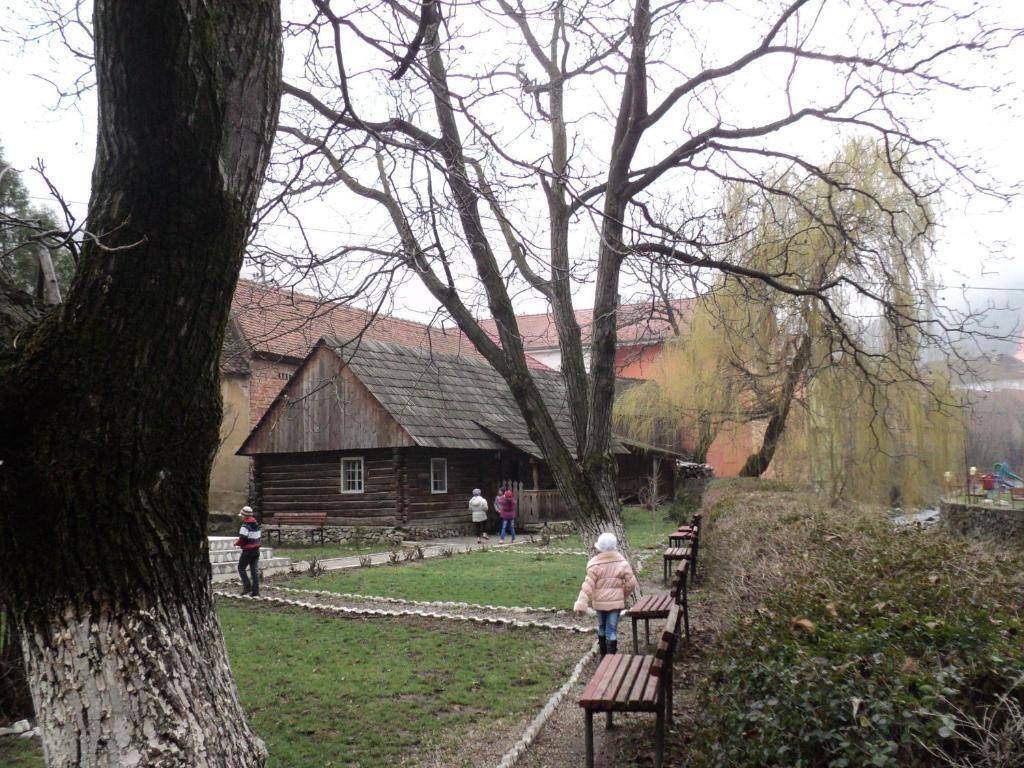 Pensiunea Irina Tilişca Exterior foto