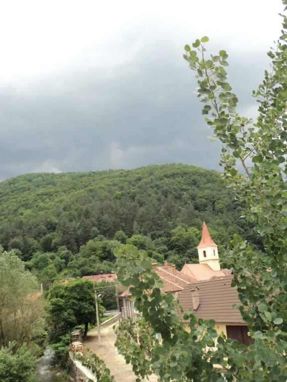 Pensiunea Irina Tilişca Exterior foto