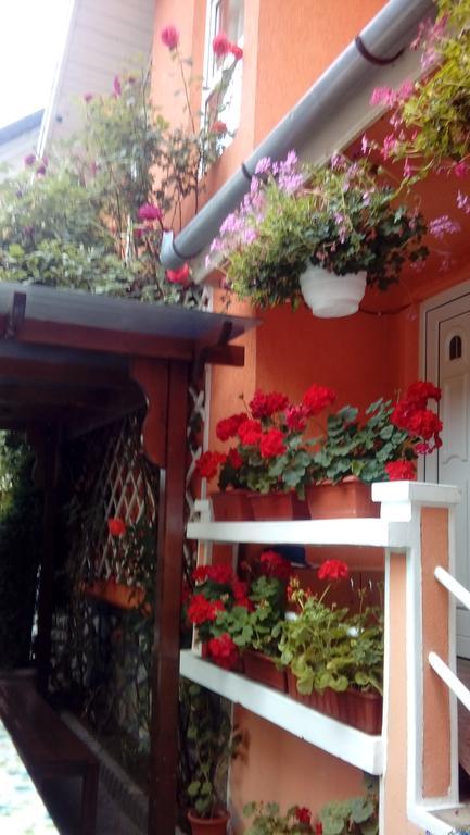 Pensiunea Irina Tilişca Exterior foto