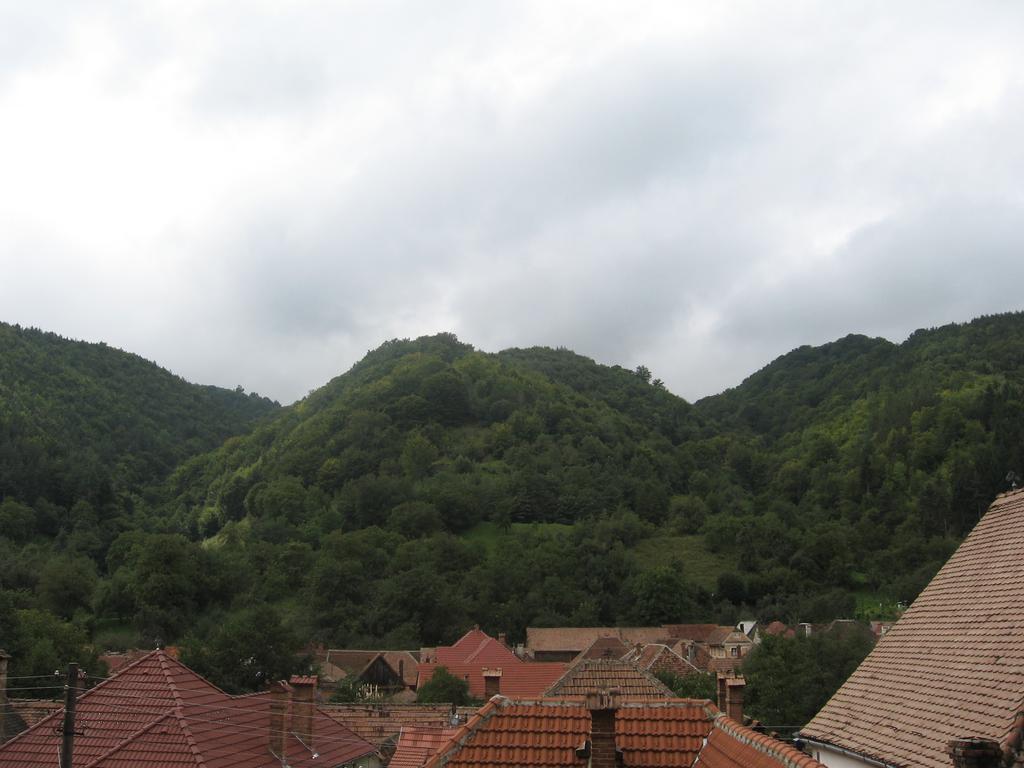 Pensiunea Irina Tilişca Exterior foto
